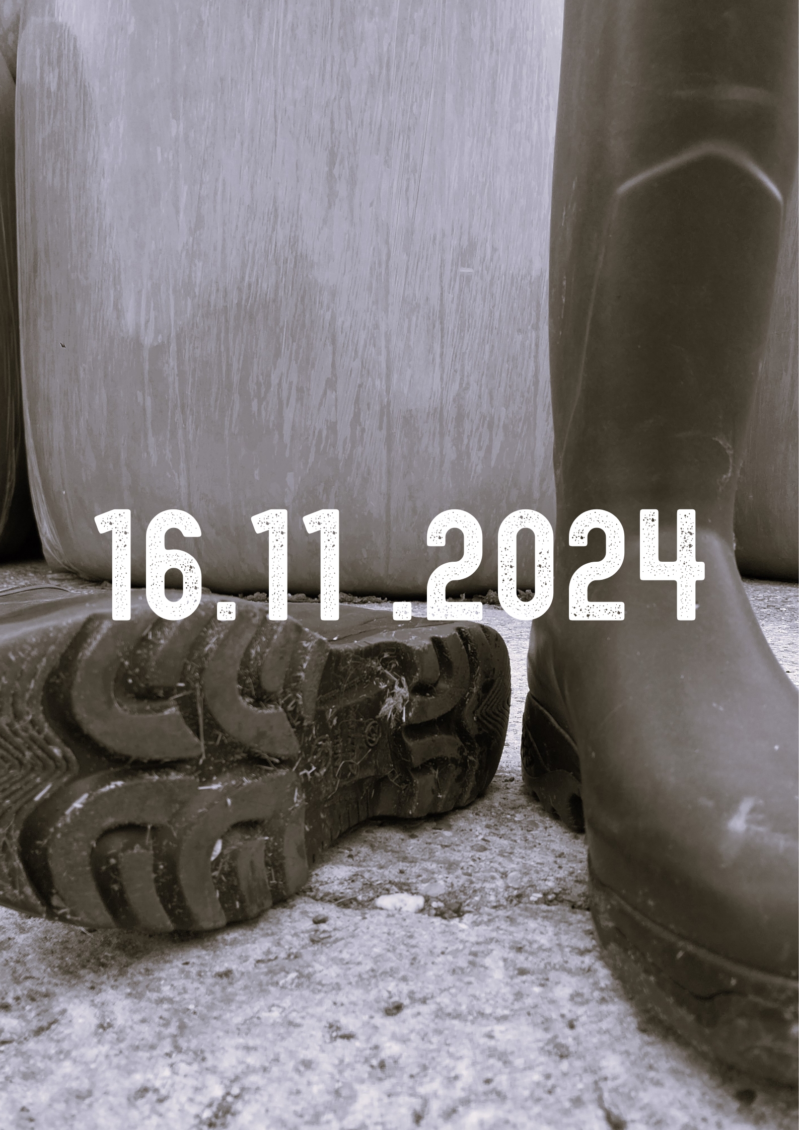 Hof- und Feldtag 2024: Gummistiefel an und raus!