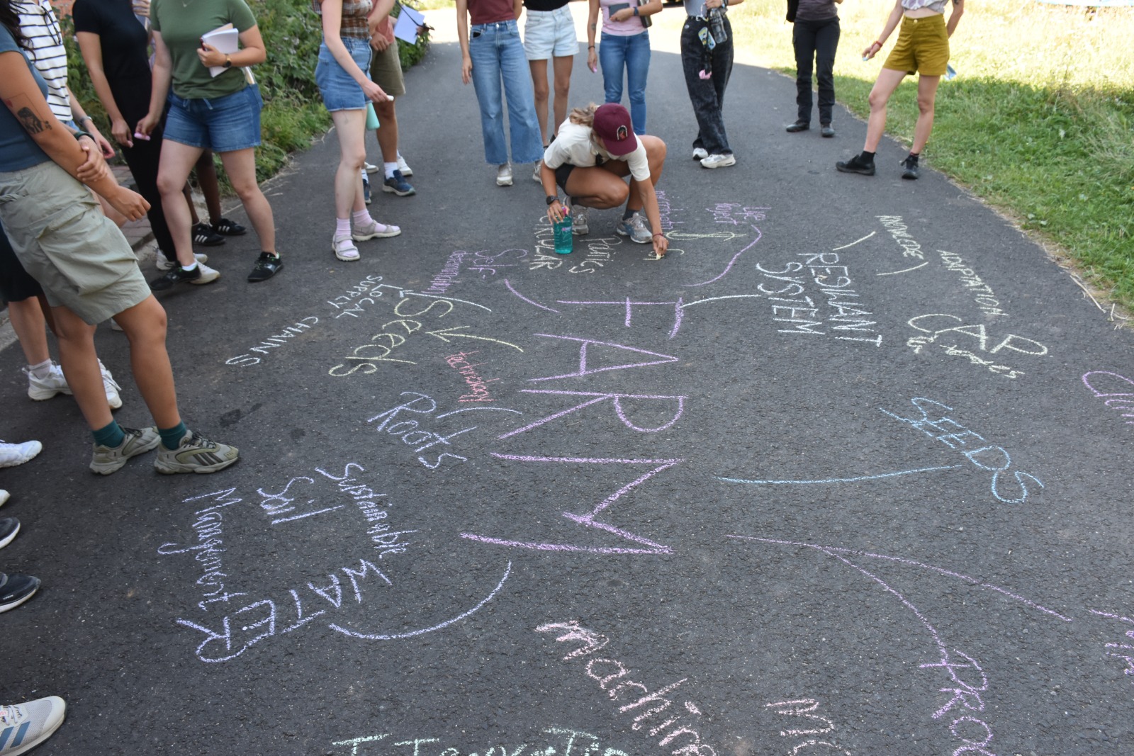 Agrobiodiversity Summer School 2025: Lernen im System auf dem Hof Tolle